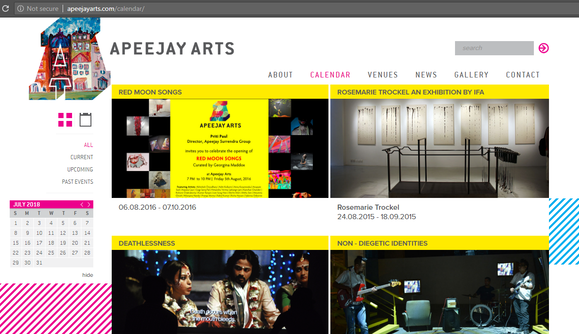 Apeejay Arts Apeejay Arts