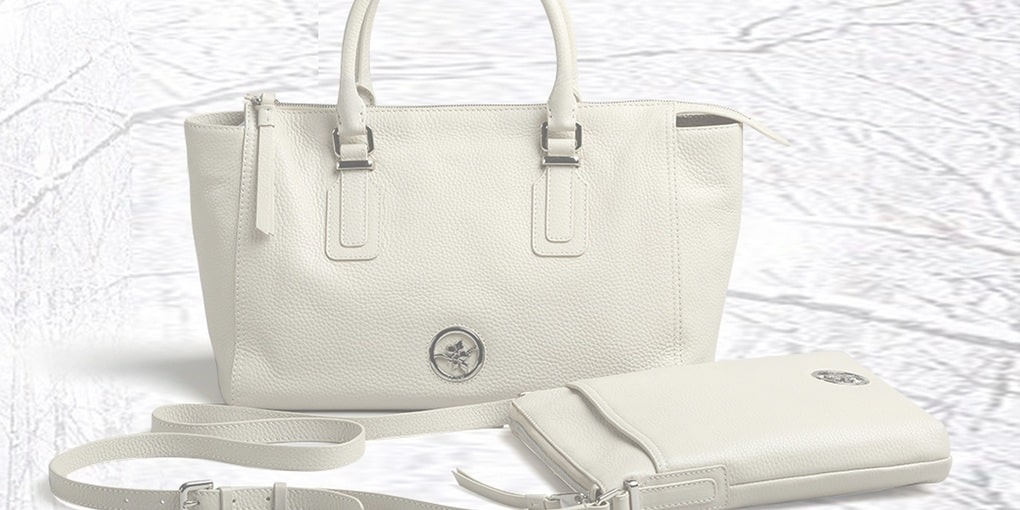 ilex back banner-min