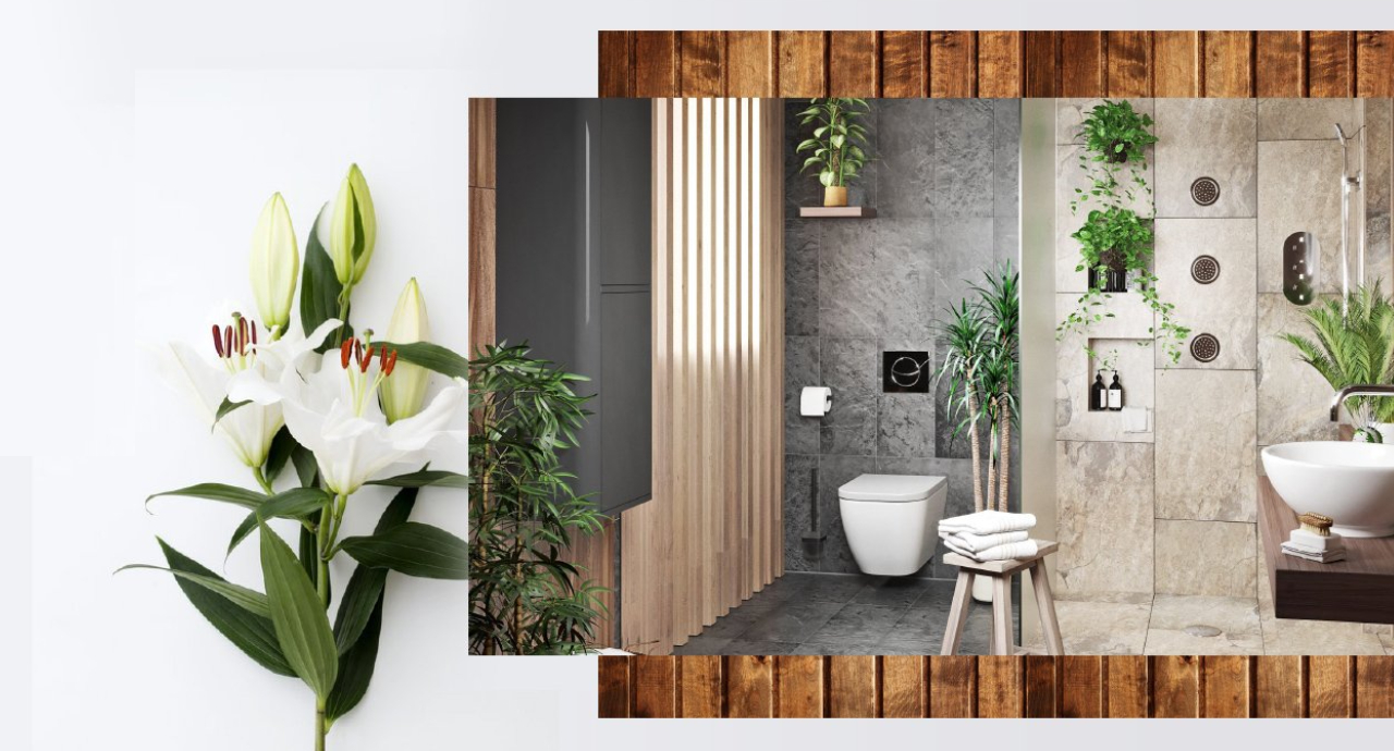 big-slides-di-projects